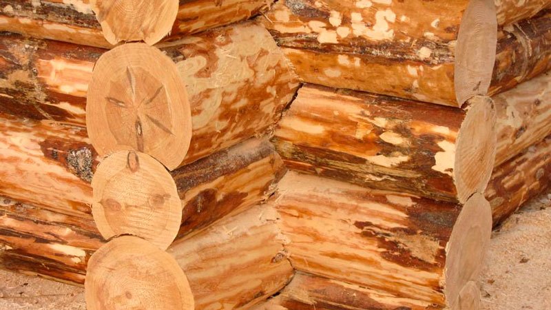 شناسایی چوب خوب از بد